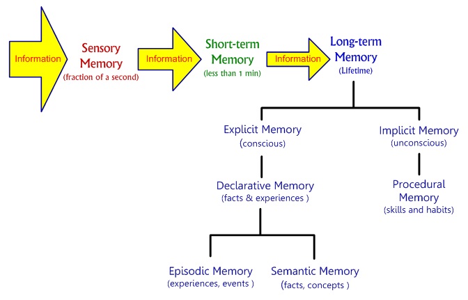 Memory Chart