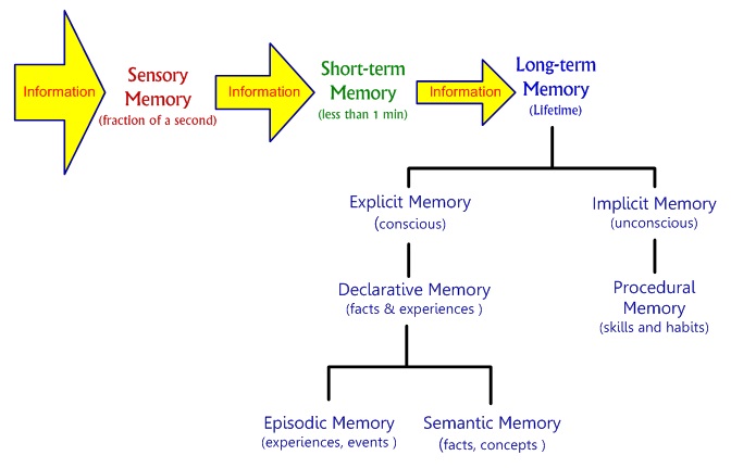 Long-term memory is formed immediately without the need for