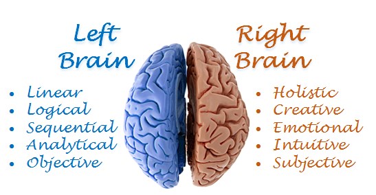 Left brain and right Brain - Characteristics