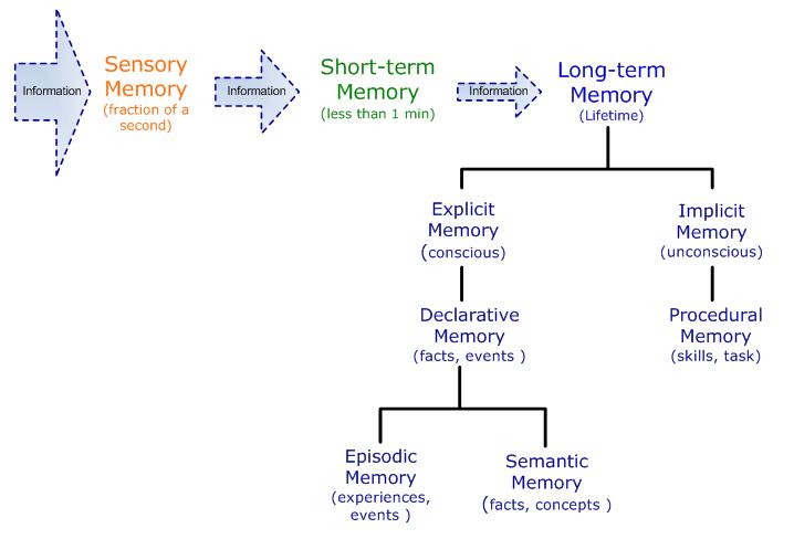 long term memory types