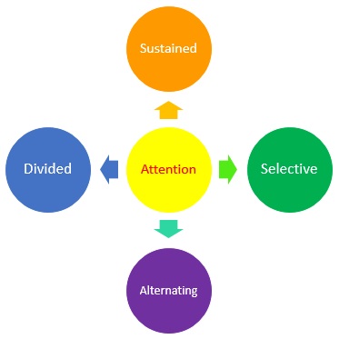 Types of Attention
