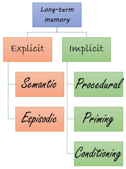 Implicit and Explicit Memory