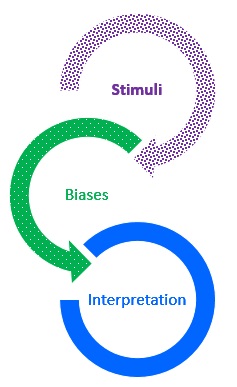 describe the perception process