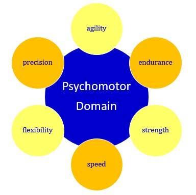 Psychomotor domain