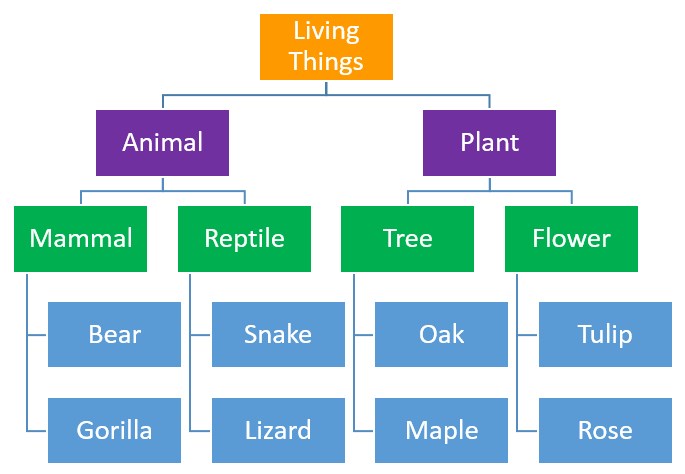 semantic network model of memory