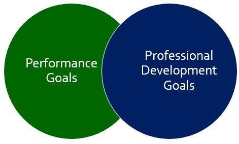 Performance goals and Professional Development Goals