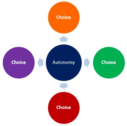 Autonomy in the Workplace: Why Its So Important