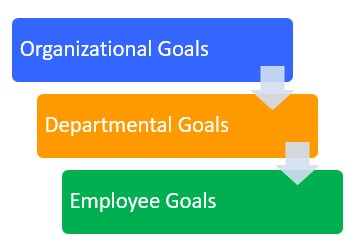Organizational Goals Process