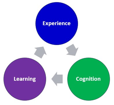 Cognitive learning needs new arrivals