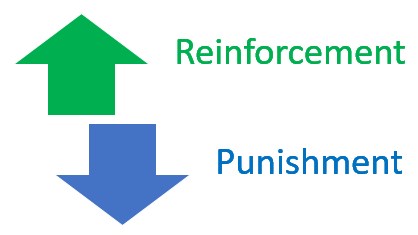 Reinforcement and Punishment