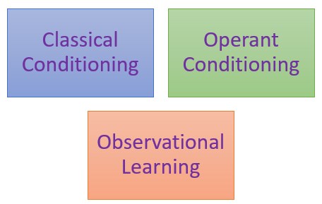 Types of Behavioral Learning