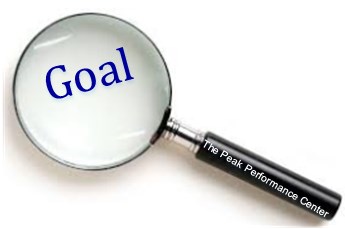 Analyzing Performance Goals