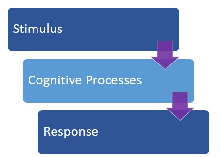 Cognitive theory best sale of teaching