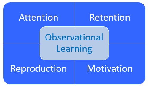 Observational Learning Conditions