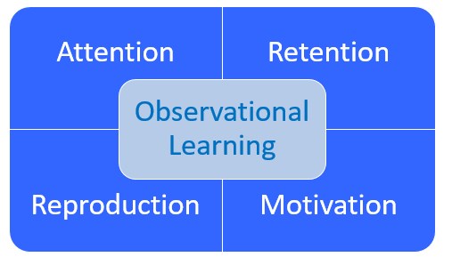 Bandura's four components of observational learning new arrivals