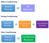 Classical Conditioning - The Peak Performance Center