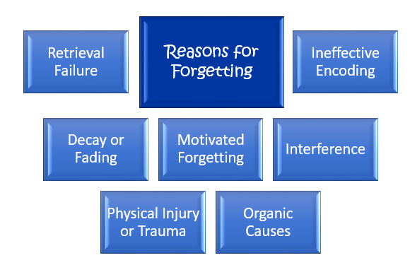 Reasons for Forgetting