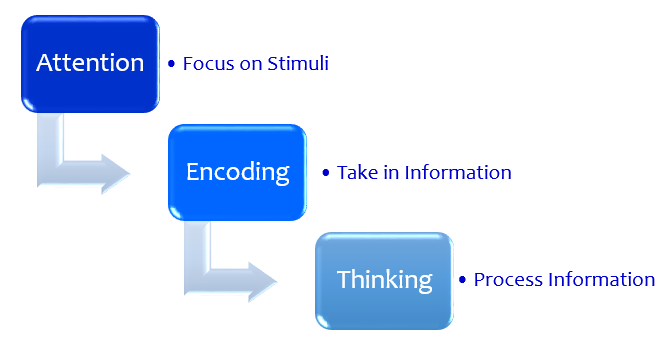 Three-Parts-of-the-learning-process